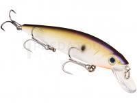 Leurre Strike King KVD 300 Jerkbait 12cm 14.2g - TN Shad 2.0