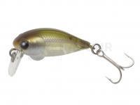 Leurre Tiemco Critter Tackle Cure Pop Crank Floating 30mm 2g - 37