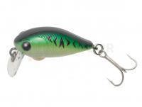 Leurre Tiemco Critter Tackle Cure Pop Crank Floating 30mm 2g - 39