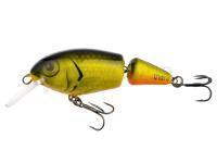 Leurre Vidra Lures Perpetual Jointed | 6.50 cm 11 g F - FYB