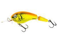 Leurre Vidra Lures Nautilus DR Jointed | 8.50 cm 11 g F - FYO