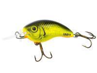 Leurre Vidra Lures Bombhead | 4.50 cm 12 g S - FYB