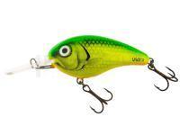 Leurre Vidra Lures Nautilus Deep Runner | 6 cm 13 g DR F - FYG