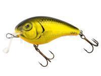 Leurre Vidra Lures Nautilus Shallow Runner | 6 cm 13 g SR F - GL