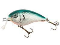 Leurre Vidra Lures Nautilus Shallow Runner | 6 cm 13 g SR F - GR