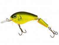 Leurre Vidra Lures Nautilus DR Jointed | 8.50 cm 11 g F - FYB