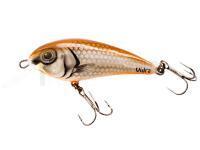 Leurre Vidra Lures Perpetual | 6 cm 11 g S - BR