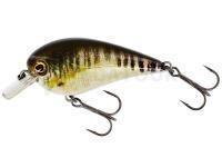 Leurre Westin BassBite Squarebill BassBite 1.5 | 6cm 13g - Real Minnow