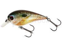 Leurre Westin BassBite Squarebill BassBite 1.5 | 6cm 13g - Real Pumpkinseed