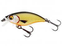 Leurre Westin BuzzBite SR Crankbait 4cm 4g Low Floating - Official Roach