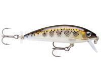 Leurre Rapala X-Rap CountDown 5cm - Muddler