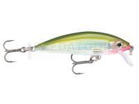 Leurre Rapala X-Rap CountDown 5cm - Olive Green