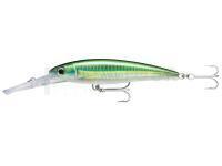 Leurre Rapala X-Rap Magnum 20 | 14cm 46g - Big Eye Scad (BSCD)