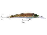 Leurre dur Rapala X-Rap Magnum Xtreme 16cm - HD Squid