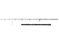 Canne Penn Squadron IV Jigging Spin 2.04m 200-400g