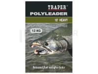 Traper Polyleader 10' Heavy 12kg Fast sinking