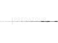 Canne Casting Dragon X-Treme HD Casting 300C 1.98m 100-300g