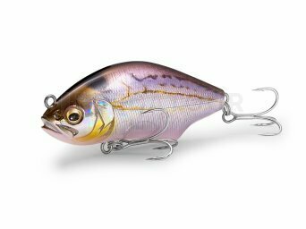 Megabass, Penn, Preston