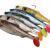 Savage Gear Leurres mer 3D Herring Big Shad