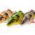 Savage Gear Leurre 4D Line Thru Perch