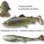 Savage Gear Leurre 4D Pulsetail Trout