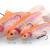 Savage Gear Leurre 4D Rattle Trout