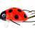 Wob-Art Leurres Biedronka (Ladybird)