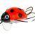 Wob-Art Leurres Biedronka (Ladybird)