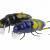 Microbait Leurre Durs Chafer