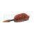 BaitNow Method Feeder Pellet Ready to Go