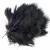 Hareline Dubbin Plumes Wooly Bugger Marabou