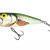 Salmo Popper Pop 6 - Limited Edition