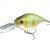 Prorex Leurre Durs Crankbait DR
