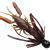 Savage Gear Leurres 3D Crayfish Rattling