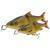 Savage Gear 3D Line Thru Glide Roach