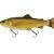 Savage Gear 3D Line Thru Pulsetail Trout