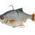 Savage Gear 3D Roach RTF Swim