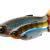 Savage Gear Leurres Craft Dying Minnow