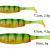 Savage Gear Leurres Craft Shad Mix