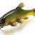 Quantum Leurres Freak of Nature Swimbait Tench