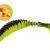 Quantum Leurres Magic Trout T-Worm Paddler