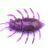 FishUp Maybug