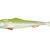 Qubi Lures Sardine Shad