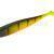 Lucky John 3D Series Slick Shad Paddle