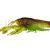 Savage Gear Leurres NED Craw