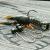 Savage Gear Leurres NED Craw