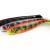 FOX Rage Leurres Souples Pro Shad Natural Classic Ultra UV Bulk