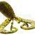 Westin Leurres RingCraw CurlTail