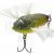 Tiemco Leurres Soft Shell Cicada Hair Wing