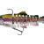 Westin Tommy the Trout Multi Jointed R2F